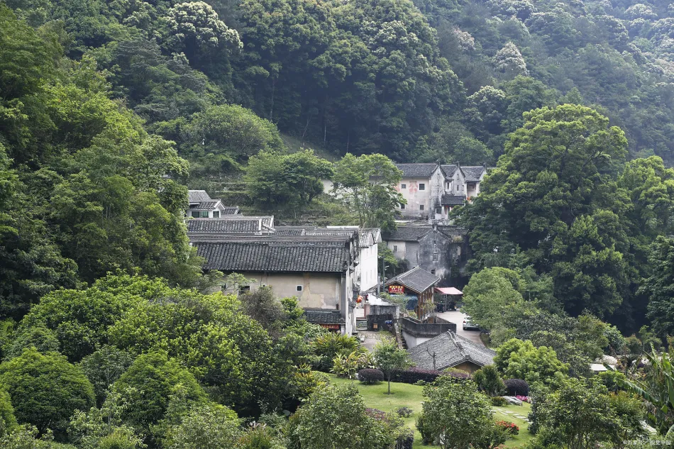 永嘉县永嘉县移动宽带
